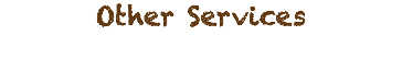 Other Services 
